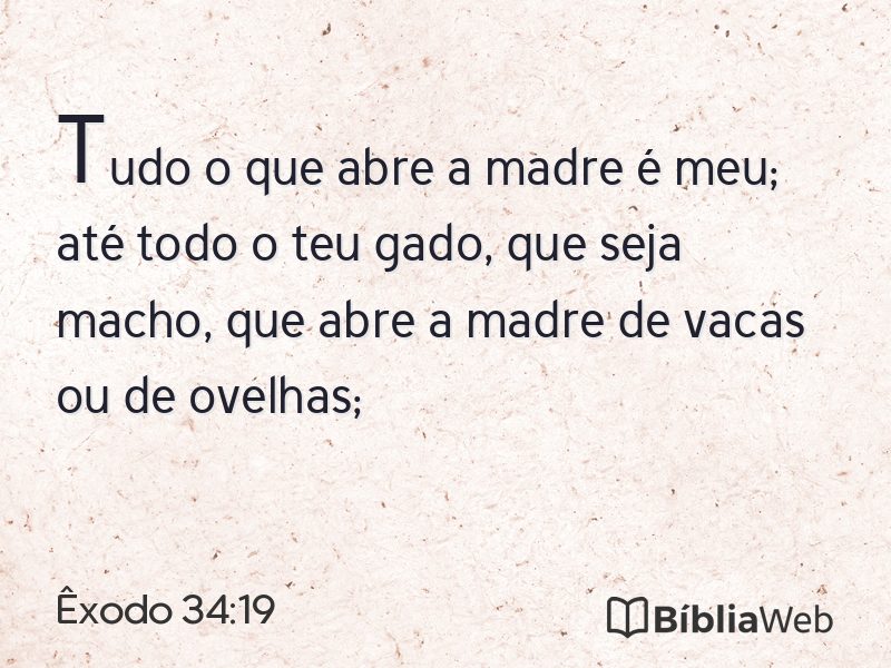 Êxodo 34:19 em imagem para compartilhar