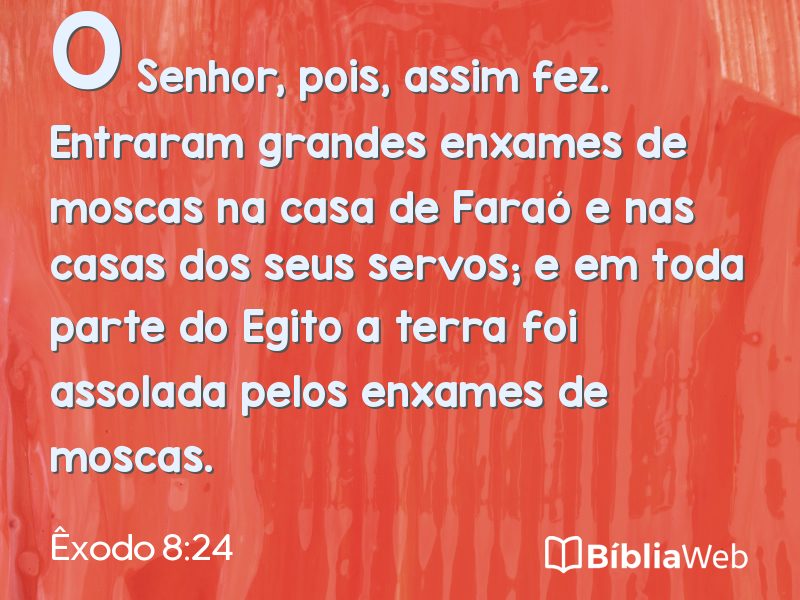 Êxodo 8:24 em imagem para compartilhar