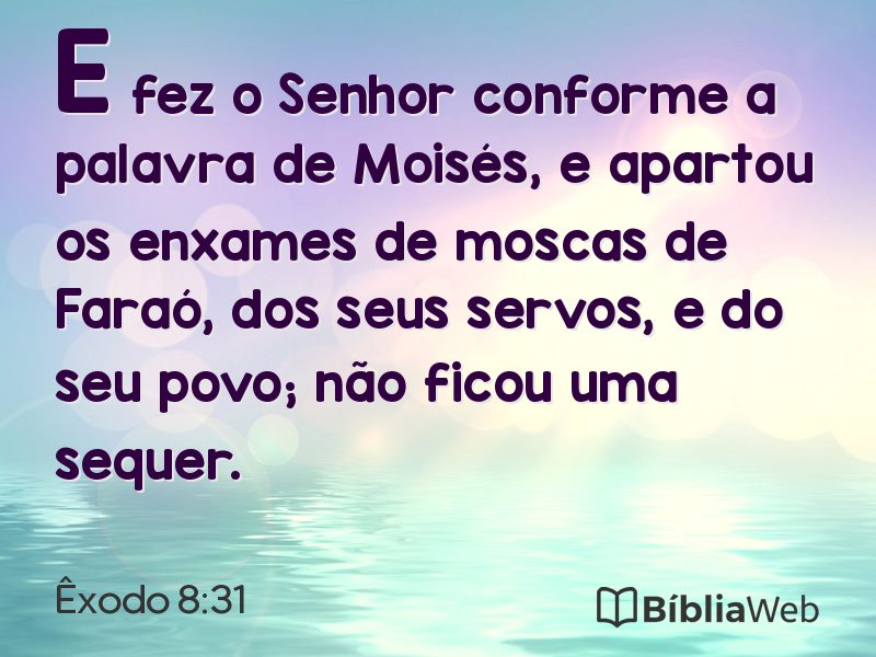 Êxodo 8:31 em imagem para compartilhar