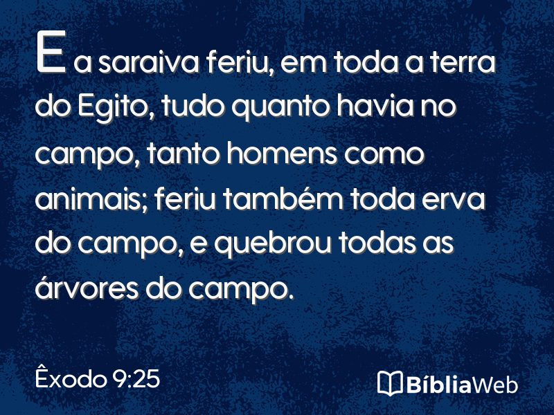 Êxodo 9:25 em imagem para compartilhar