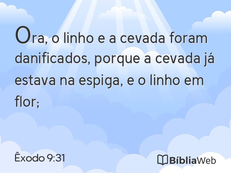 Êxodo 9:31 em imagem para compartilhar