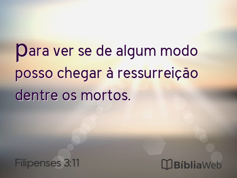 Filipenses 3:11 em imagem para compartilhar