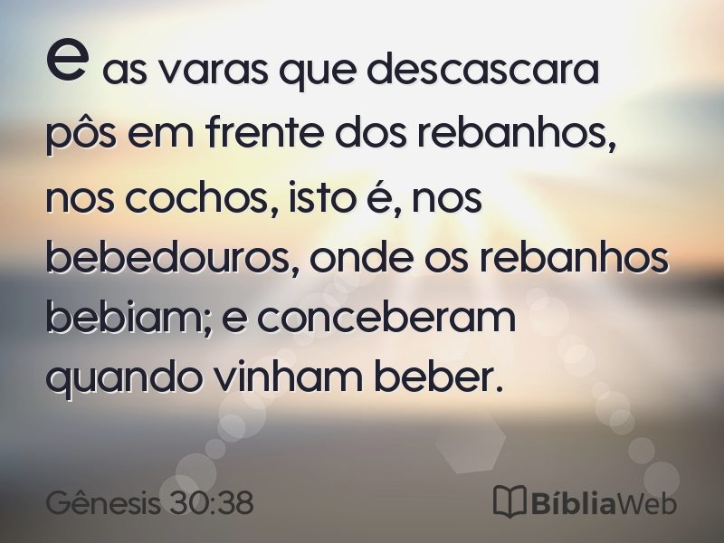 Gênesis 30:38 em imagem para compartilhar