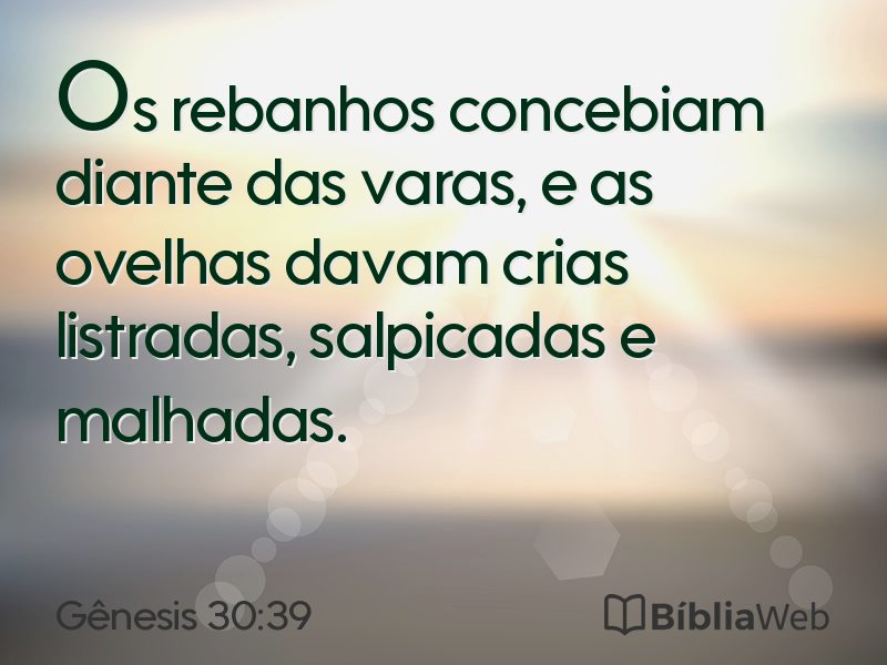 Gênesis 30:39 em imagem para compartilhar