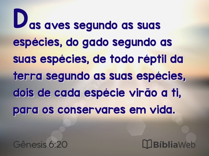 Gênesis 6:20 em imagem para compartilhar