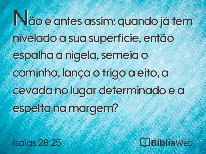 Isaías 28:25 em imagem para compartilhar