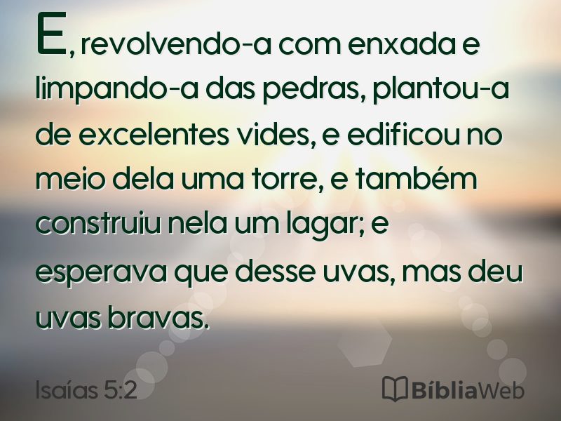 Isaías 5:2 em imagem para compartilhar