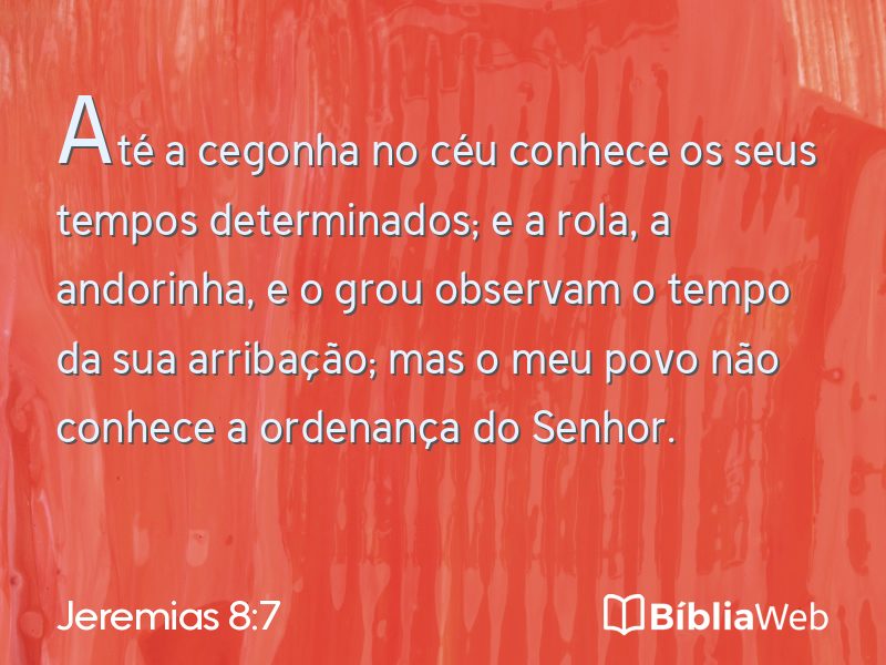Jeremias 8:7 em imagem para compartilhar