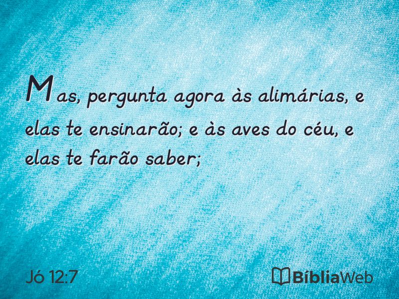 Jó 12:7 em imagem para compartilhar