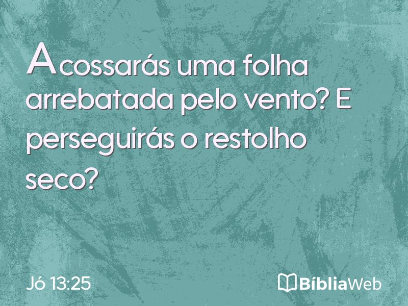 Jó 13:25 em imagem para compartilhar