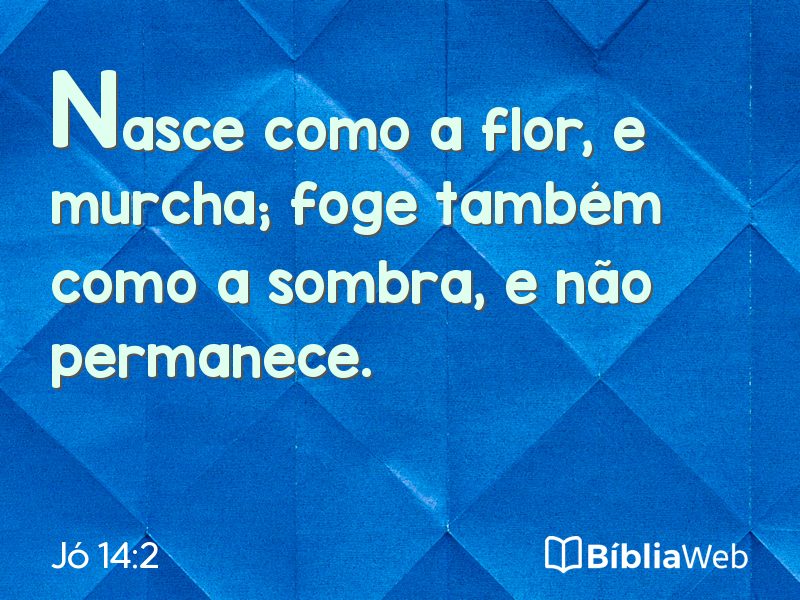 Jó 14:2 em imagem para compartilhar