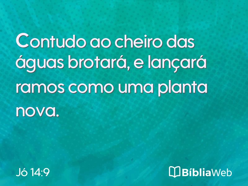 Jó 14:9 em imagem para compartilhar