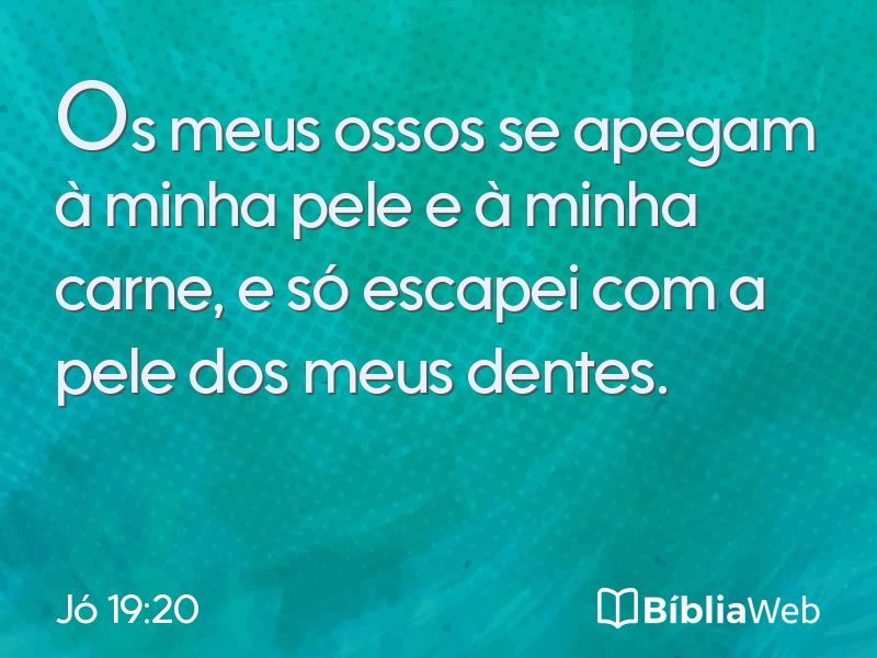 Jó 19:20 em imagem para compartilhar