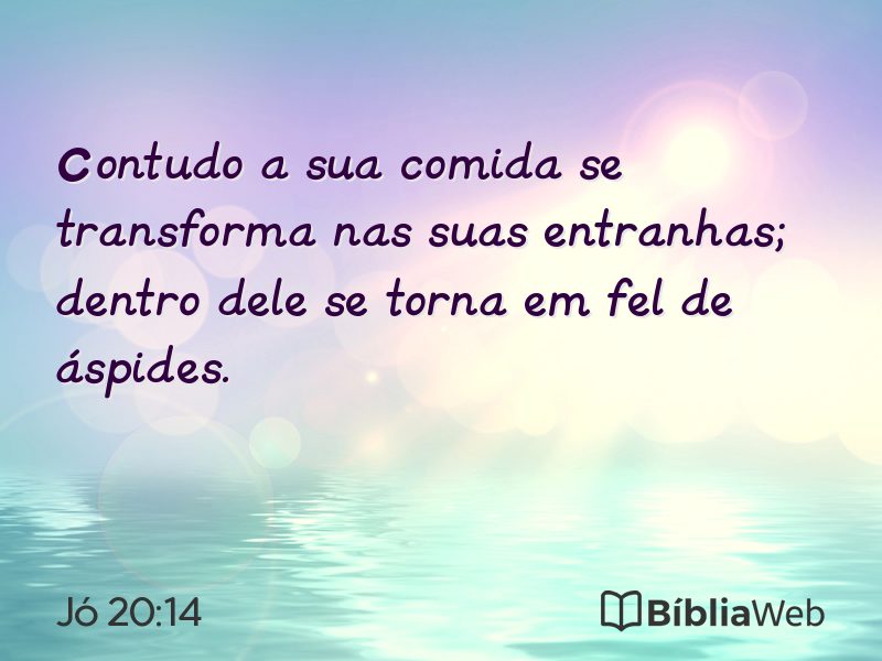 Jó 20:14 em imagem para compartilhar