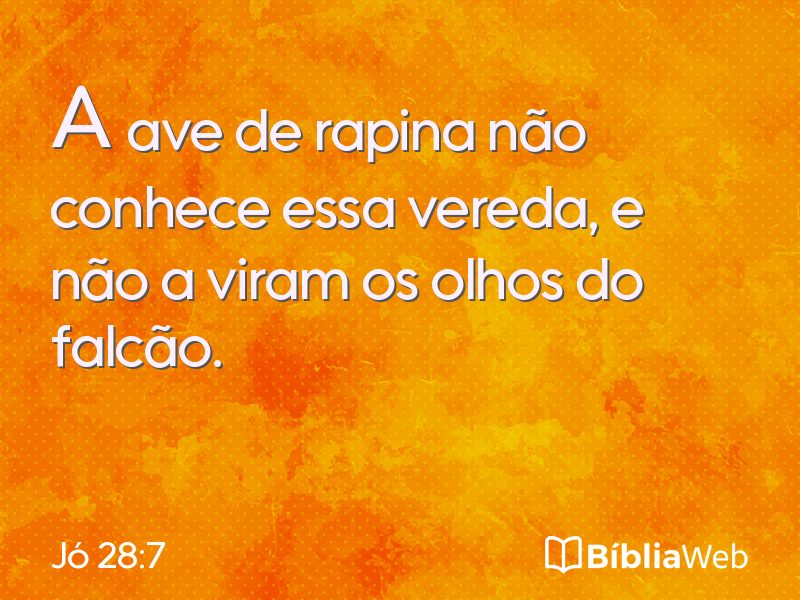 Jó 28:7 em imagem para compartilhar