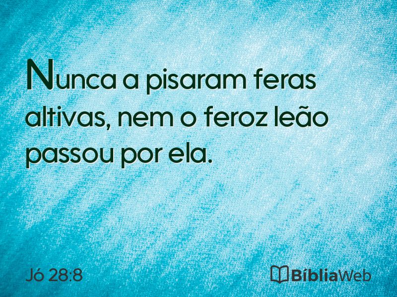 Jó 28:8 em imagem para compartilhar