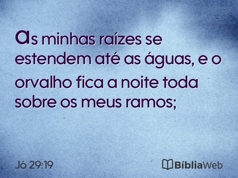 Jó 29:19 em imagem para compartilhar