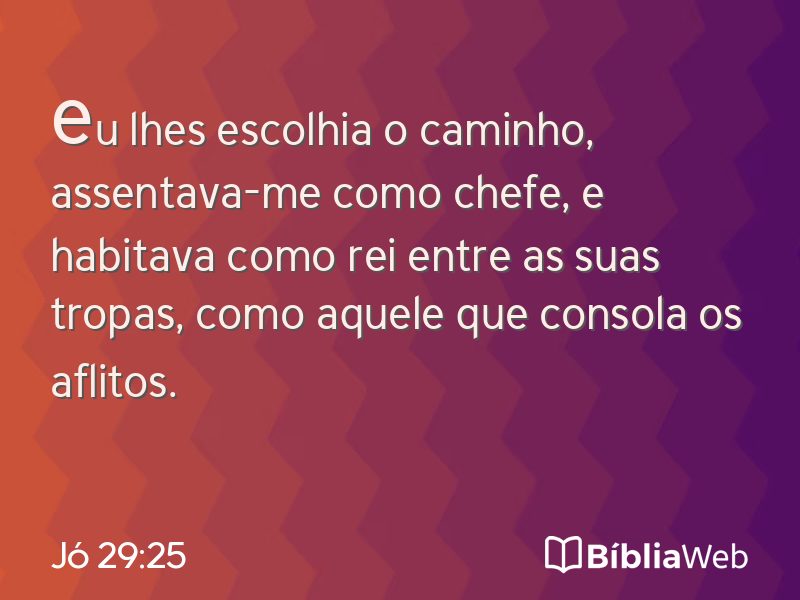 Jó 29:25 em imagem para compartilhar