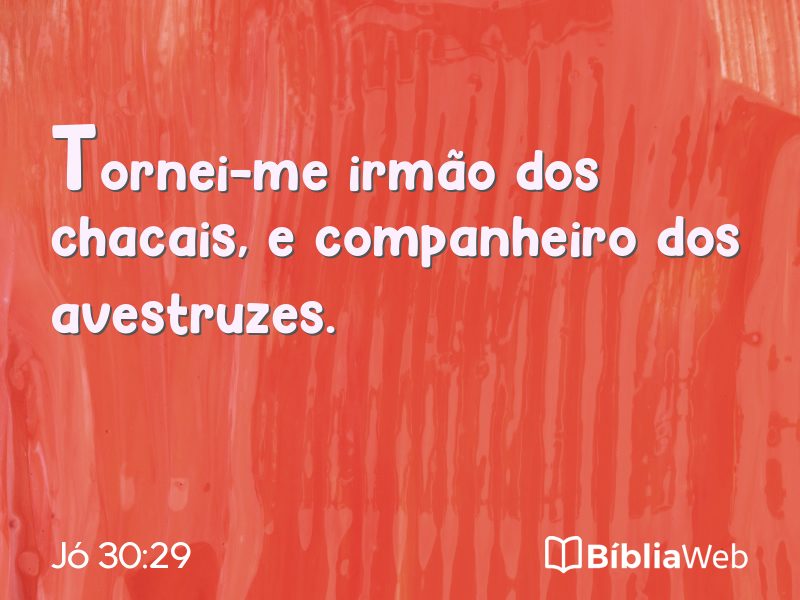 Jó 30:29 em imagem para compartilhar