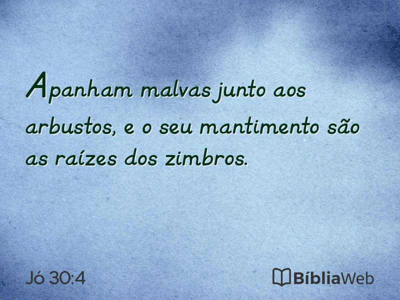 Jó 30:4 em imagem para compartilhar