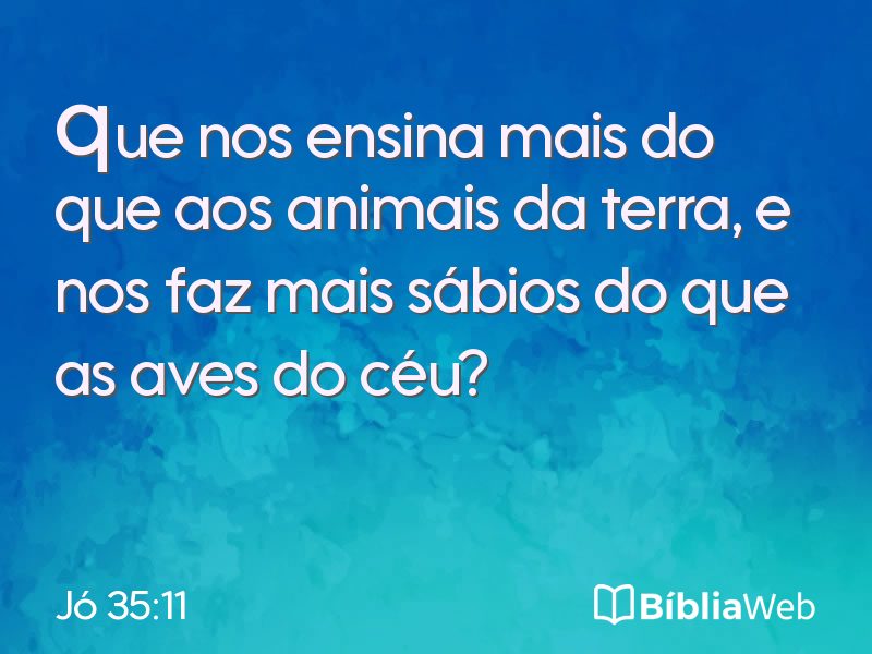 Jó 35:11 em imagem para compartilhar