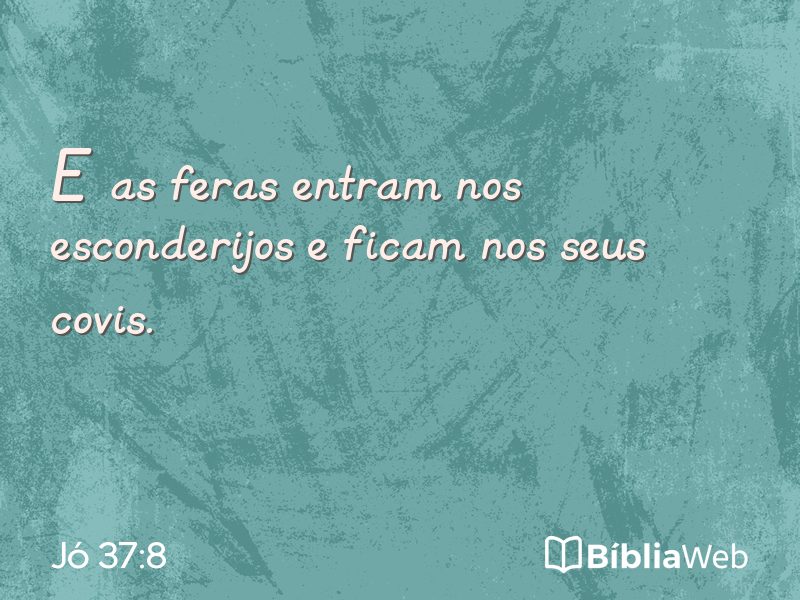 Jó 37:8 em imagem para compartilhar