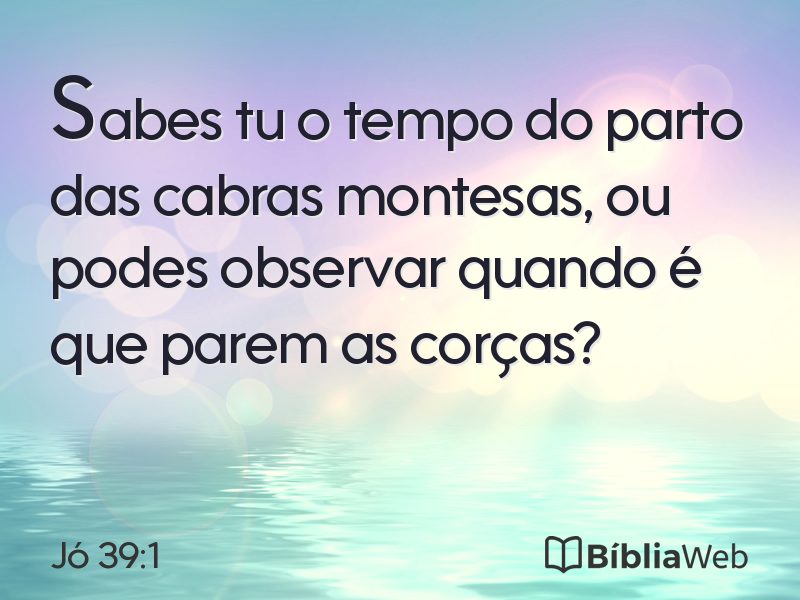 Jó 39:1 em imagem para compartilhar