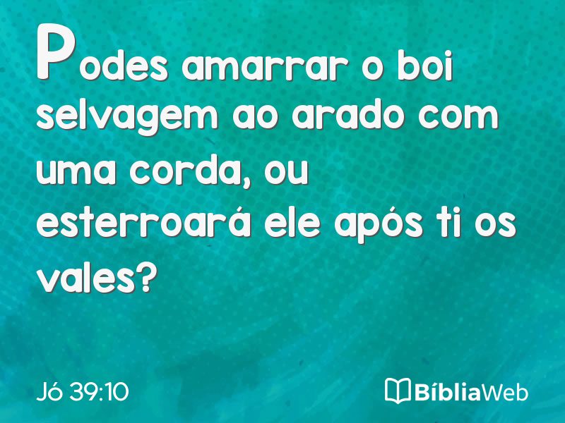 Jó 39:10 em imagem para compartilhar