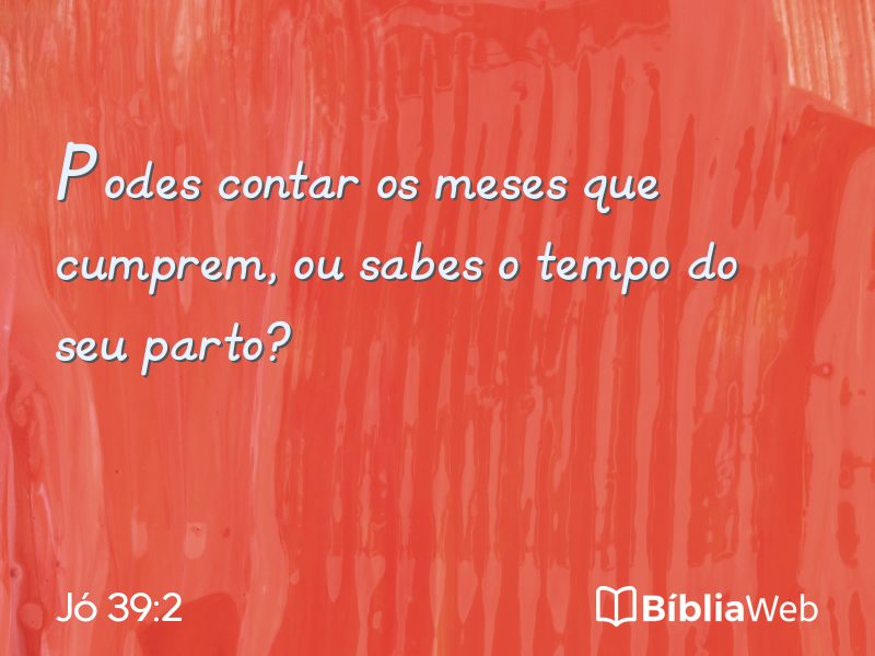 Jó 39:2 em imagem para compartilhar