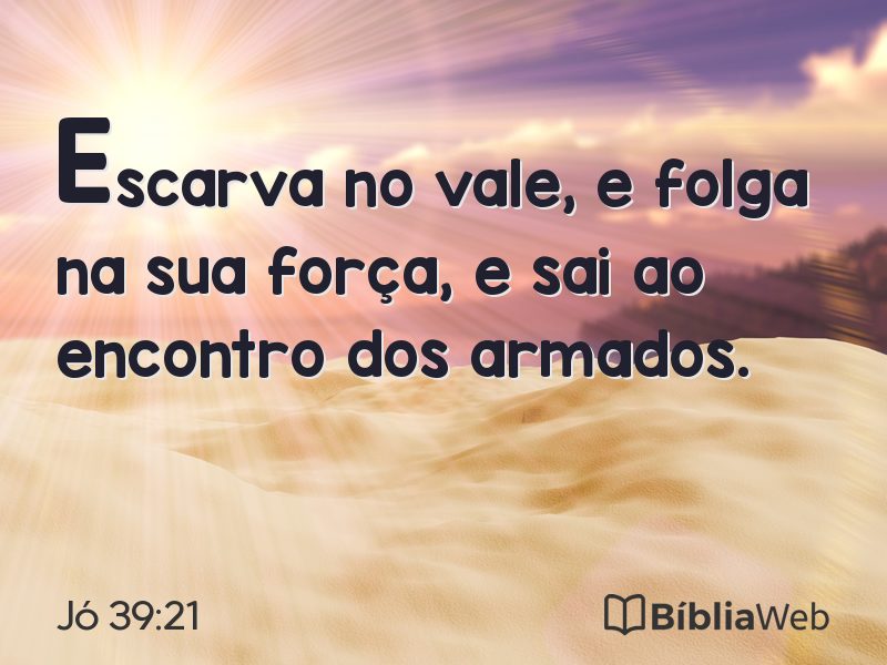 Jó 39:21 em imagem para compartilhar