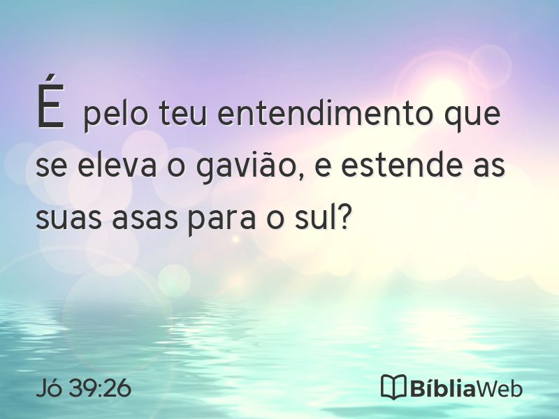 Jó 39:26 em imagem para compartilhar