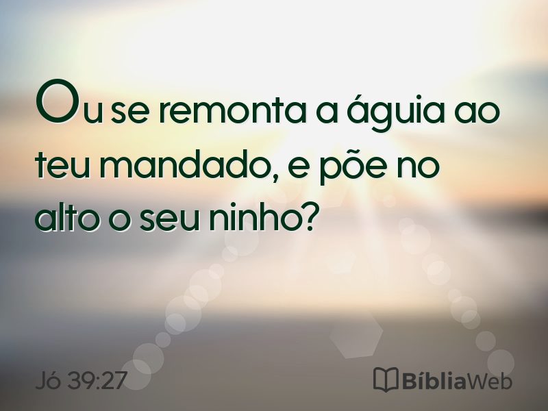 Jó 39:27 em imagem para compartilhar