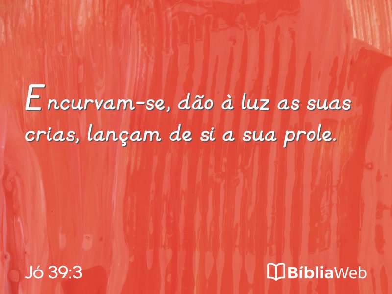 Jó 39:3 em imagem para compartilhar