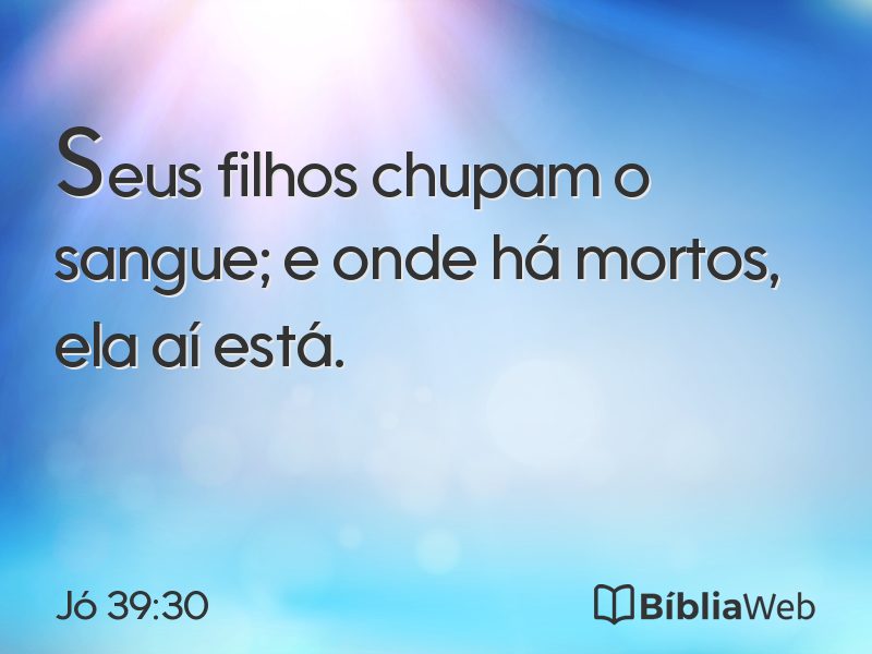 Jó 39:30 em imagem para compartilhar