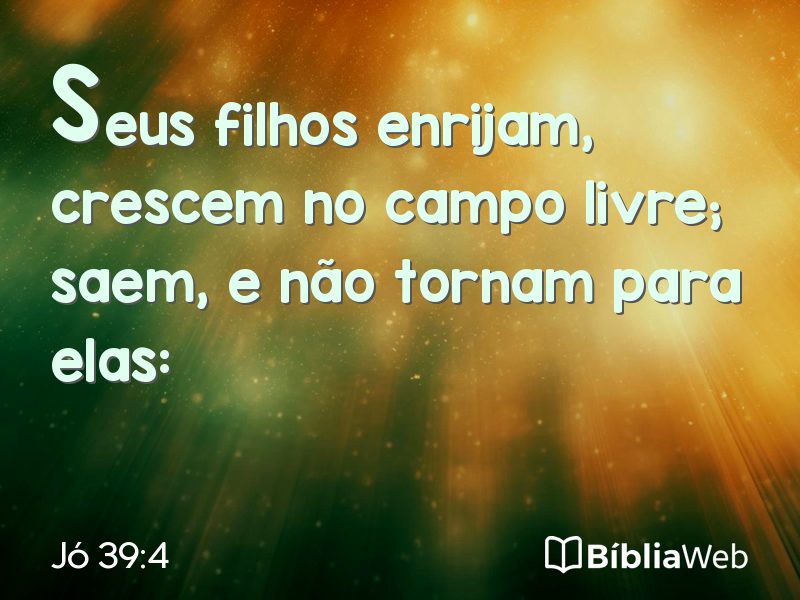 Jó 39:4 em imagem para compartilhar