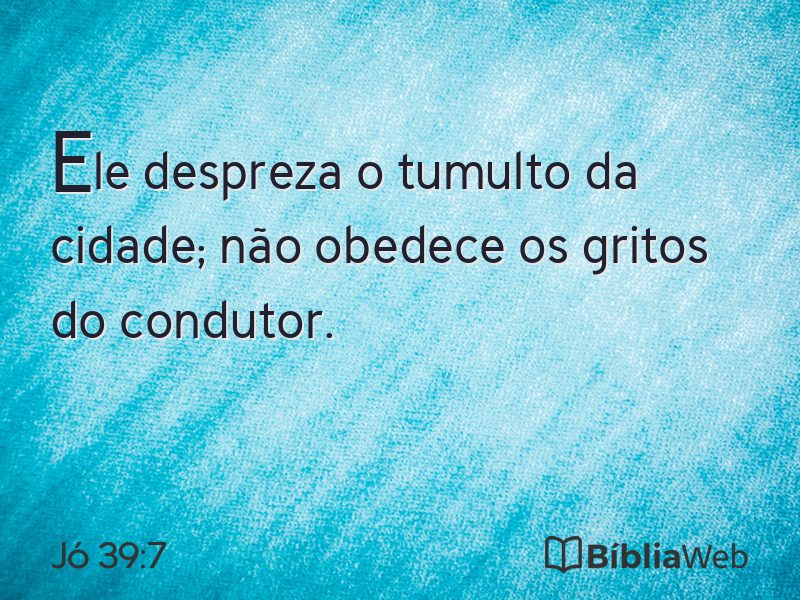 Jó 39:7 em imagem para compartilhar