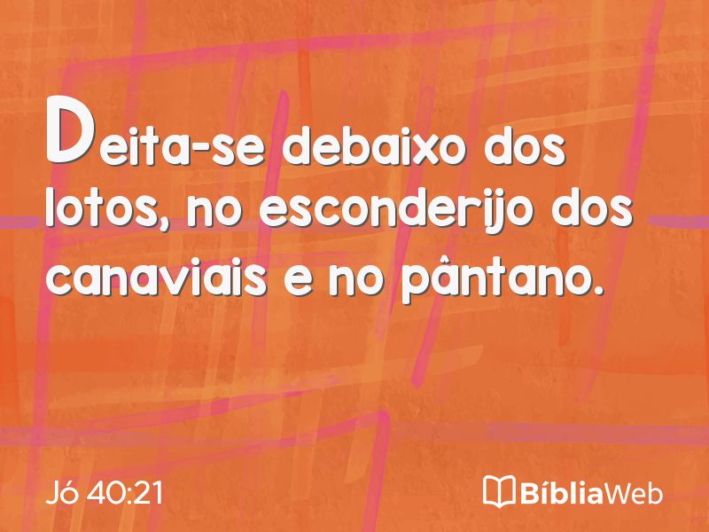 Jó 40:21 em imagem para compartilhar