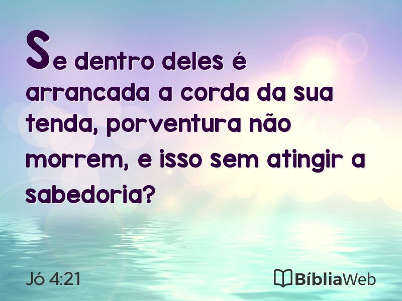 Jó 4:21 em imagem para compartilhar