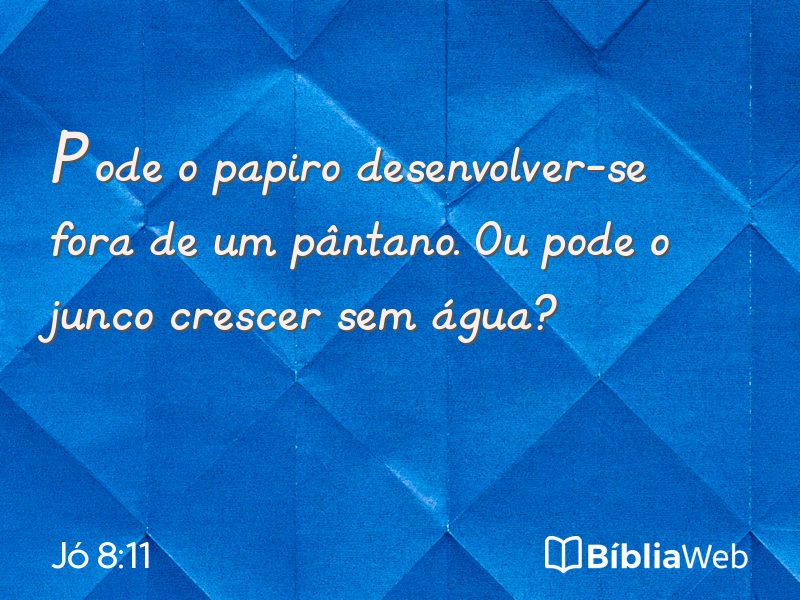 Jó 8:11 em imagem para compartilhar