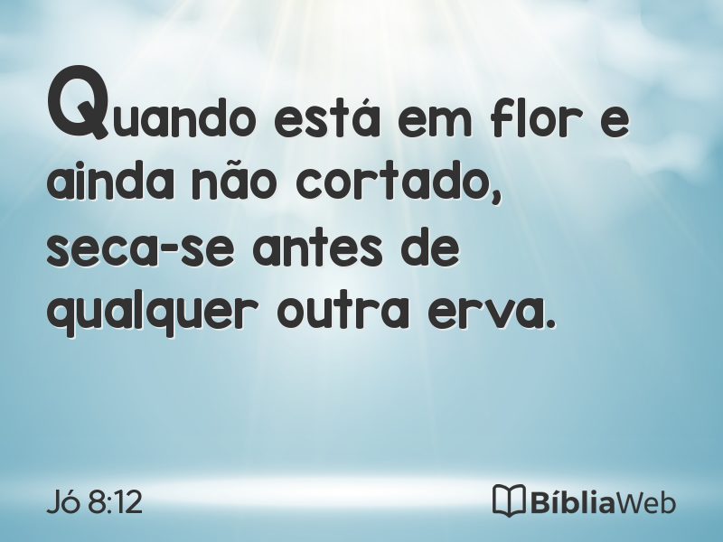 Jó 8:12 em imagem para compartilhar