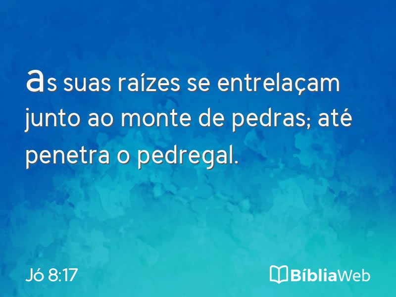 Jó 8:17 em imagem para compartilhar