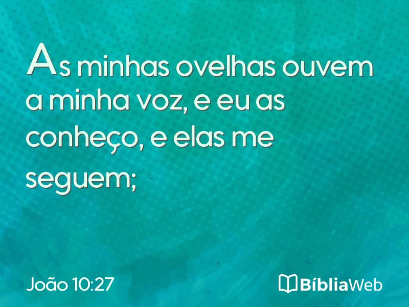 João 10:27 em imagem para compartilhar