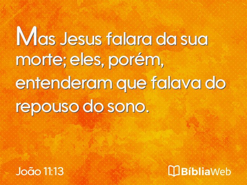 João 11:13 em imagem para compartilhar