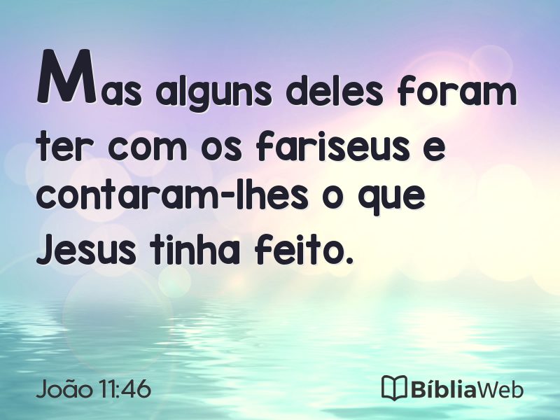 João 11:46 em imagem para compartilhar