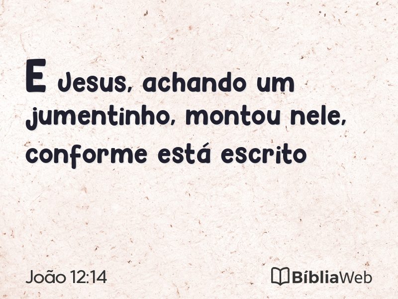 João 12:14 em imagem para compartilhar