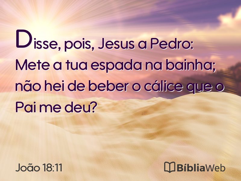 João 18:11 em imagem para compartilhar