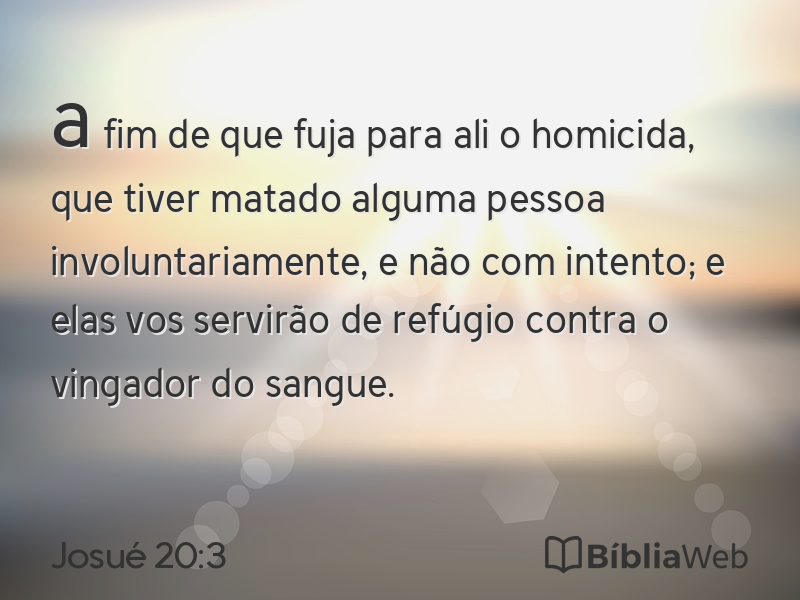 Josué 20:3 em imagem para compartilhar