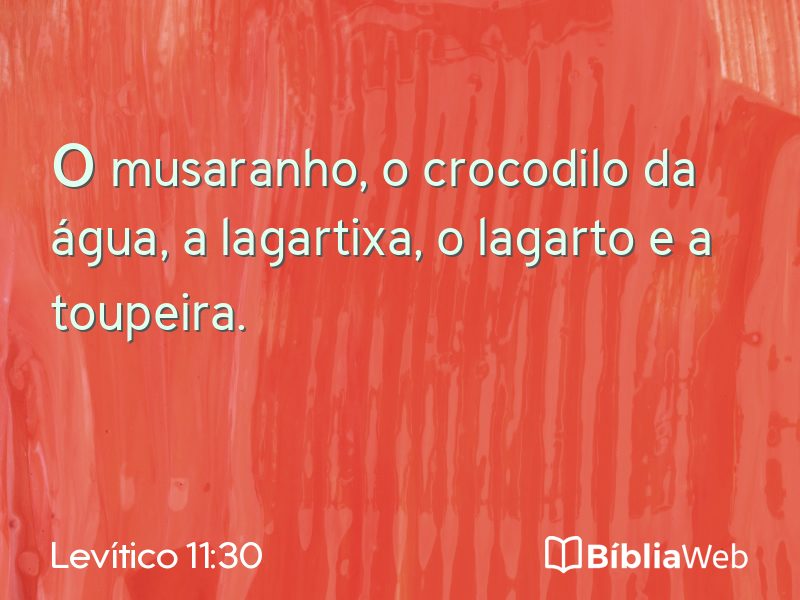 Levítico 11:30 em imagem para compartilhar