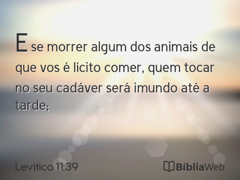 Levítico 11:39 em imagem para compartilhar