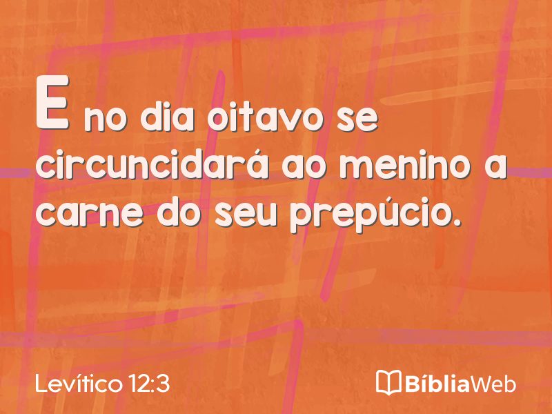 Levítico 12:3 em imagem para compartilhar